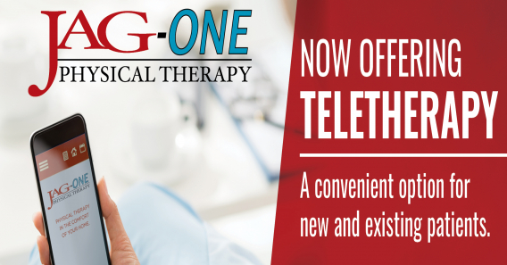 The Facts about Telehealth Physical Therapy