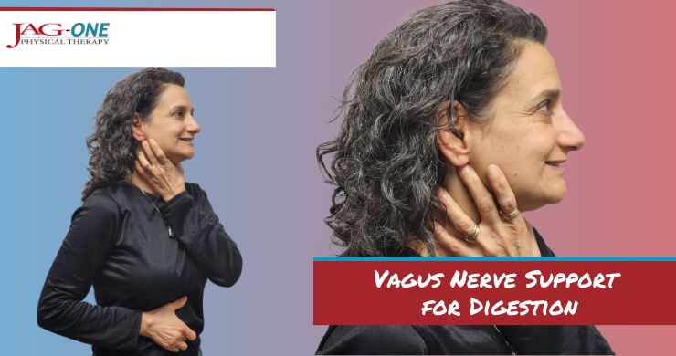 Vagus Nerve Support for Digestion