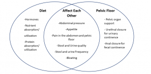 venn diagram pelvic health